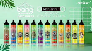 SWITCH Bang Mesh Coil 6000 Puffs Disposable